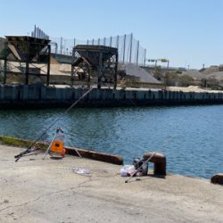 アジ、五目釣り