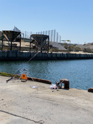 アジ、五目釣り