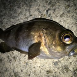 2021ライトゲーム第10戦