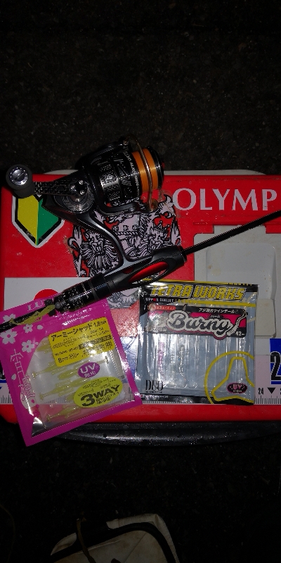 アジング練習　276