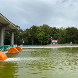 服部緑地、平日はガラガラですよ。