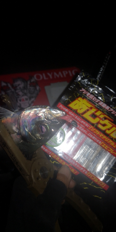 アジング練習 277