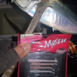 アジング練習　279