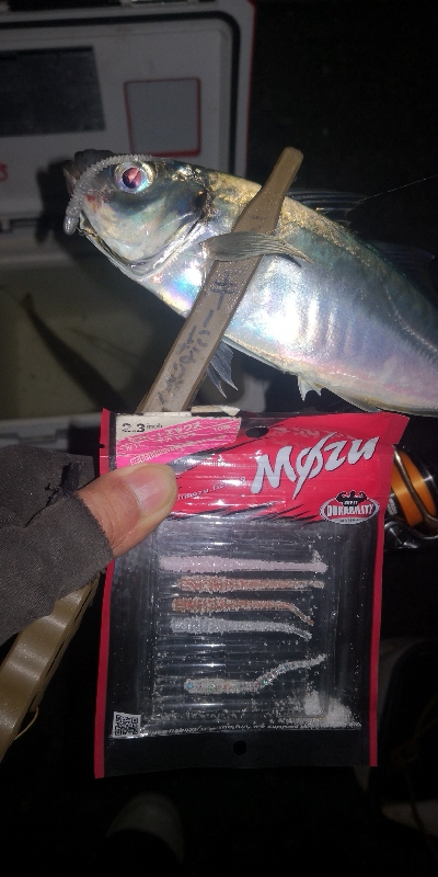 アジング練習　279