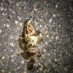 久しぶりの釣り