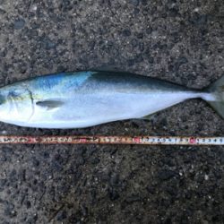 2021ライトゲーム第11戦