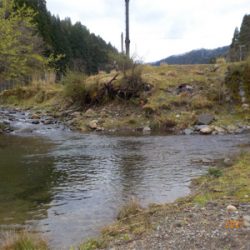 雨って聞いてないし