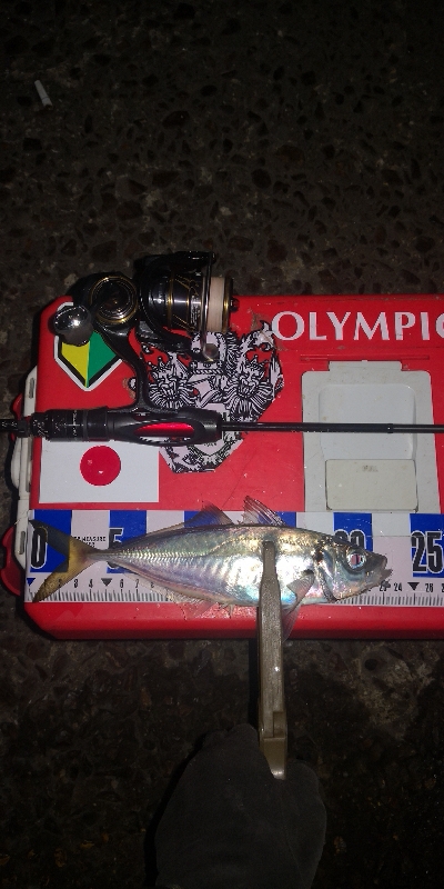 アジング練習　282　21カルディアFC LT1000S