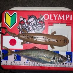 アジング練習　283　21アルテグラC2000S