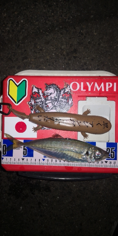 アジング練習　283　21アルテグラC2000S