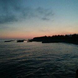 小カサゴ2匹、アナハゼ1匹