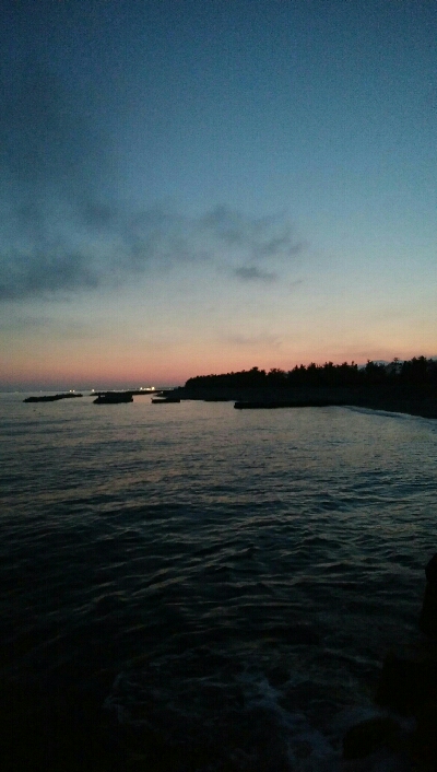 小カサゴ2匹、アナハゼ1匹