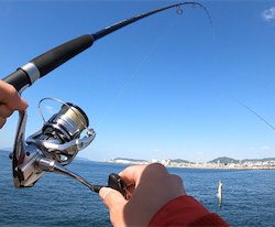 エソ　和田防新波止