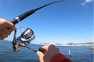 エソ　和田防新波止