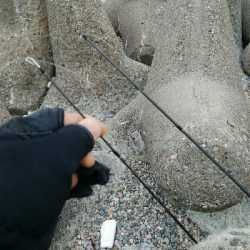 ヒラメ2枚。そして、竿折れる・・・