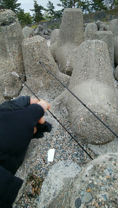 ヒラメ2枚。そして、竿折れる・・・