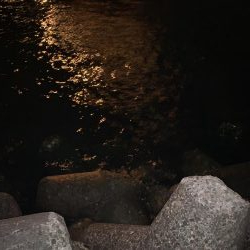 アジ・メバル探し