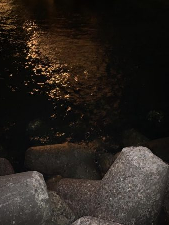 アジ・メバル探し