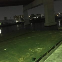 バチ抜けシーバス、練習