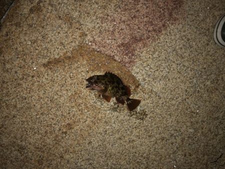 サイズが出ない