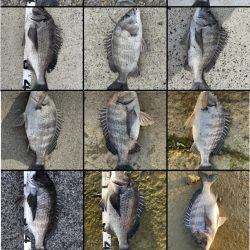 イチノ兄弟、釣果！