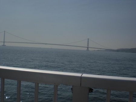 今日もベランダへ