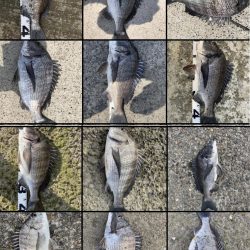 イチノ兄弟、釣果！