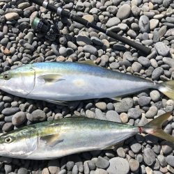 強風の中、ブリゲット