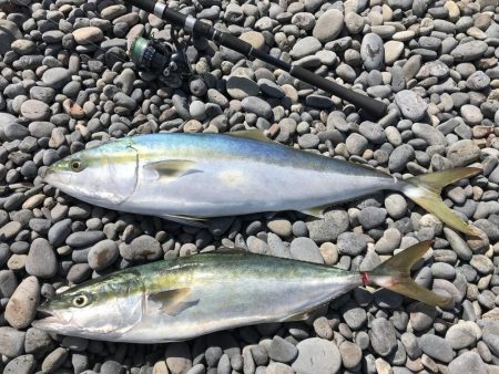 強風の中、ブリゲット