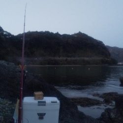 鯉川でのキス釣り