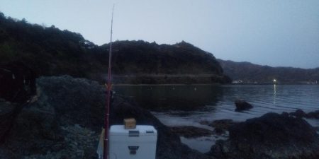 鯉川でのキス釣り