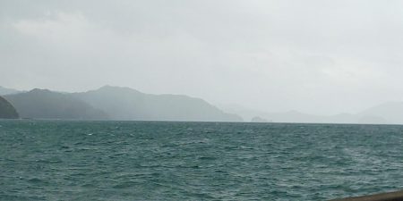 毎度です。情報と違いコウイカ渋かった～