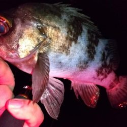 フロートアジング　