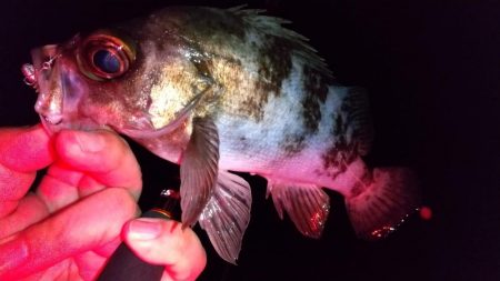 フロートアジング　