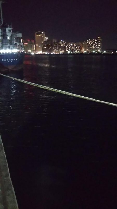 ぶらシーバス！！