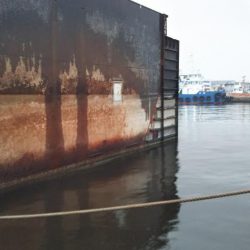 ぶらシーバス！！