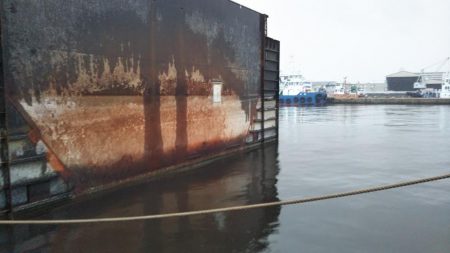 ぶらシーバス！！