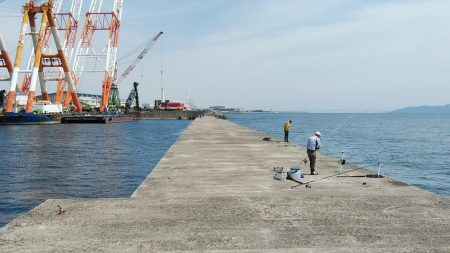 活性が上がらない播磨新島周辺のキス