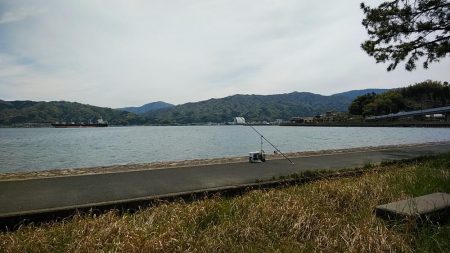 宮津のキス調査