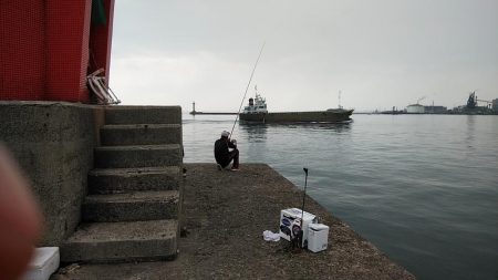 播磨新島のキス調査