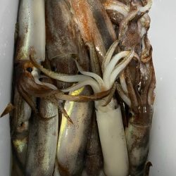 明栄丸さんにて