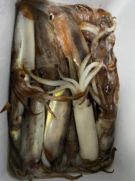 明栄丸さんにて