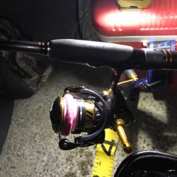 やっぱり尺越えは一匹でした