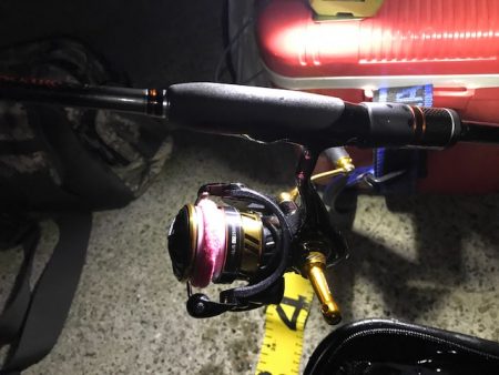 やっぱり尺越えは一匹でした