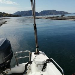 今季初カレイ釣り