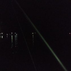 パワーイソメ無双