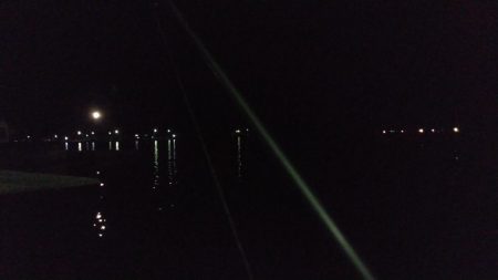 パワーイソメ無双