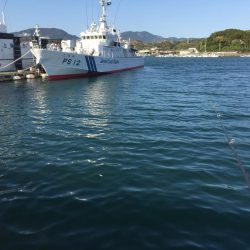 タチウオ90㎝1匹、アジ16匹（良型含む）