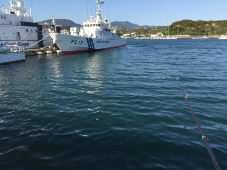 タチウオ90㎝1匹、アジ16匹（良型含む）