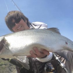 A.P.Pフィッシングガイドサービス　ロックショアゲームにRIDEON！